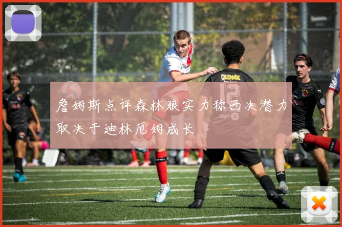 詹姆斯点评森林狼实力称西决潜力取决于迪林厄姆成长