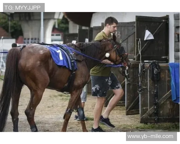 约基奇赞弗拉格表现成熟似老将透露其在重要比赛中的经验与表现